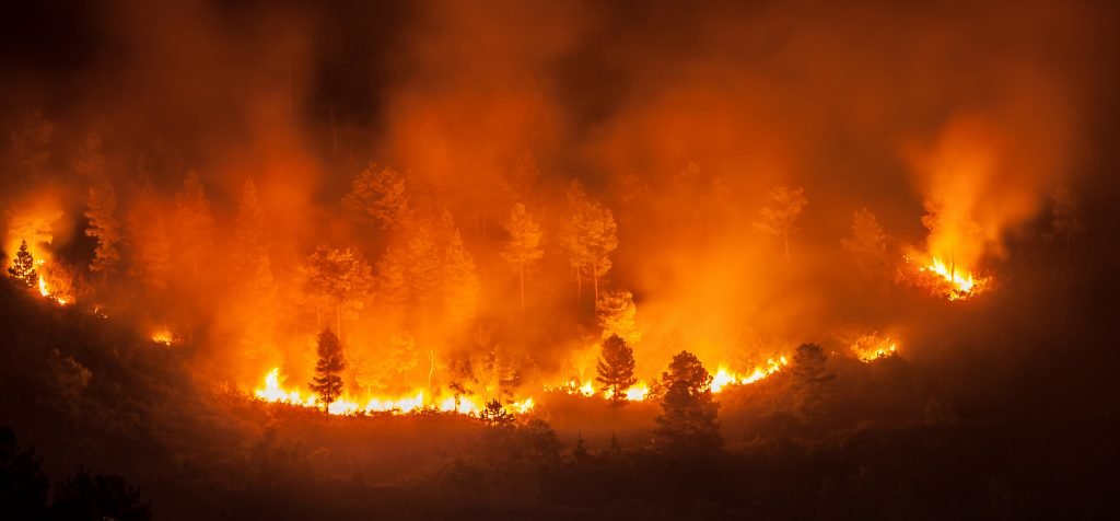 Incêndio florestal