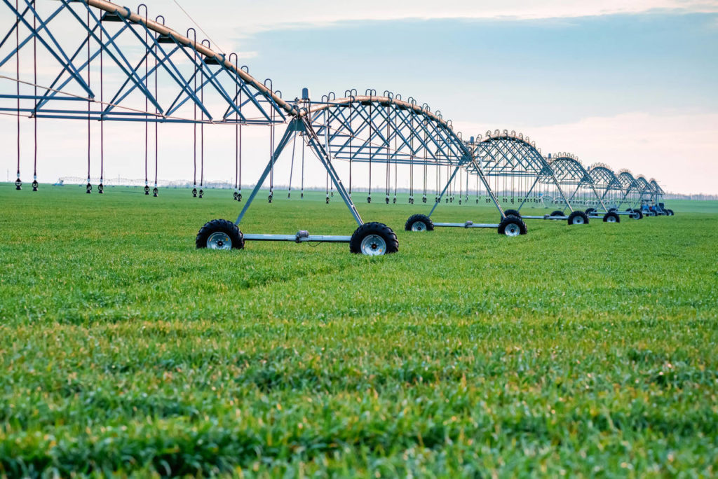 drip irrigation system in field MUBLXXU Easy Resize.com