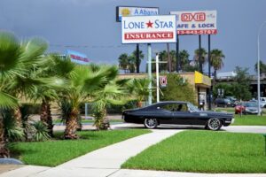 classic car and palm trees 2814781 1280