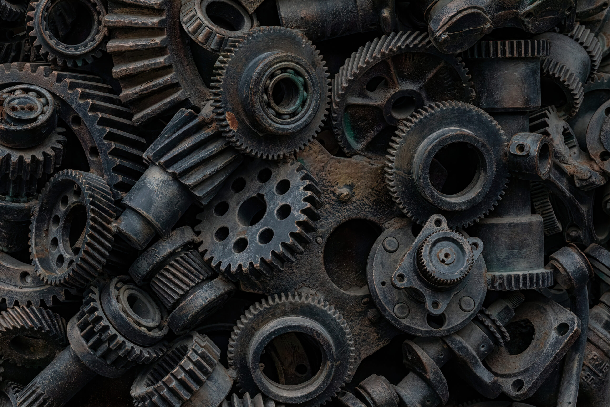 AdobeStock 528204115 scaled