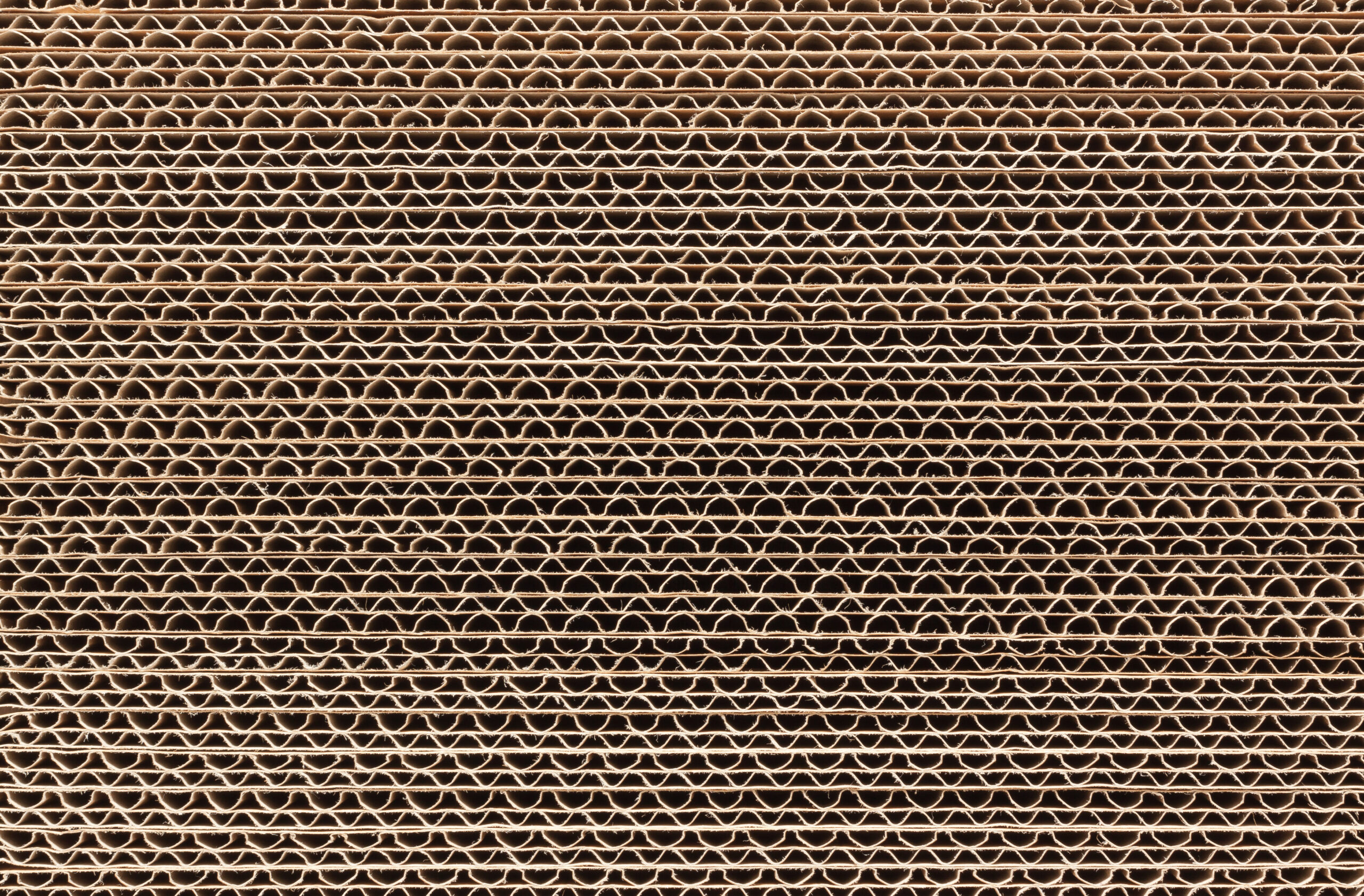 AdobeStock 62687041 scaled