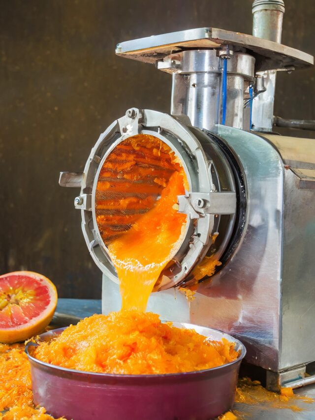 Despolpadeira de Frutas: Eficiência e Qualidade