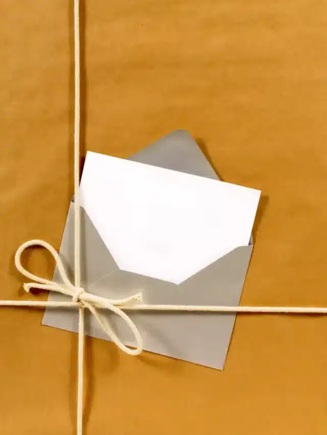 Mini envelope kraft preço