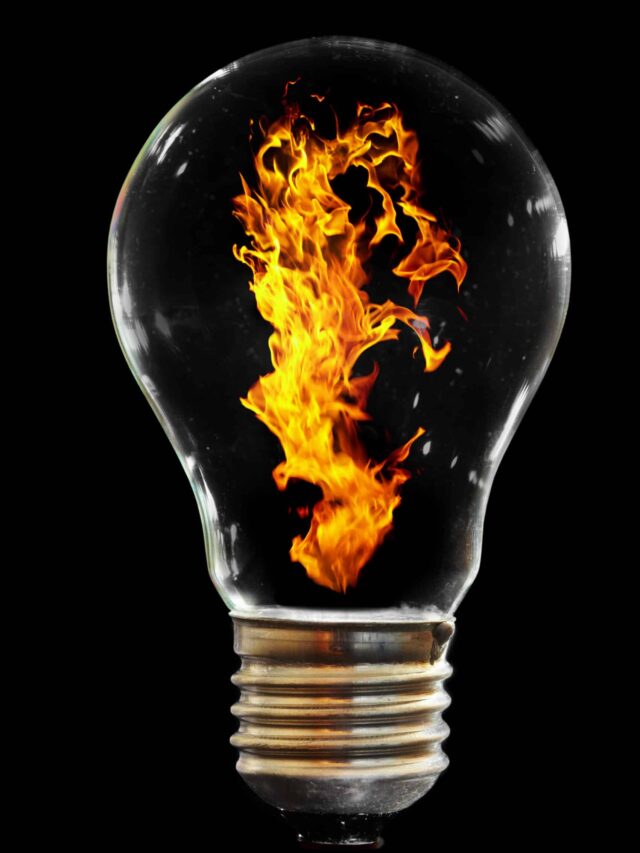 light bulb