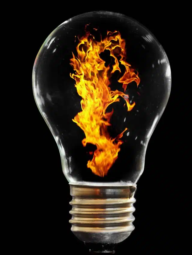 light bulb
