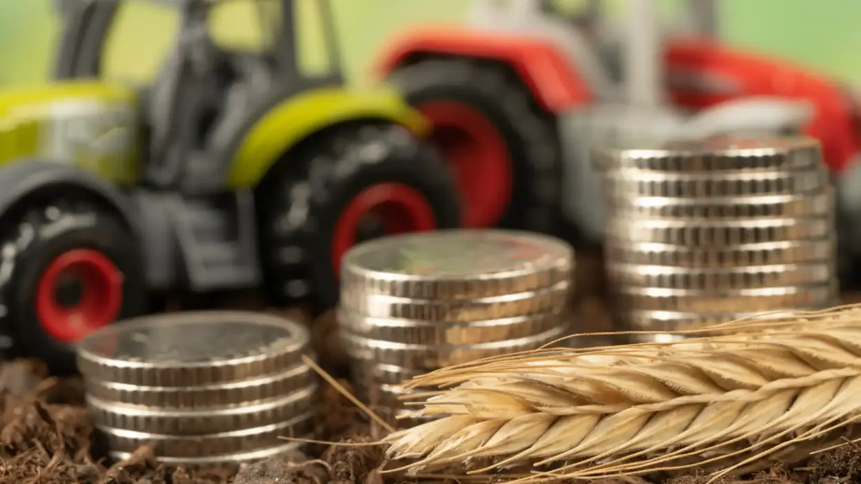 tractoresdebrinquedoecoinhasempreitada