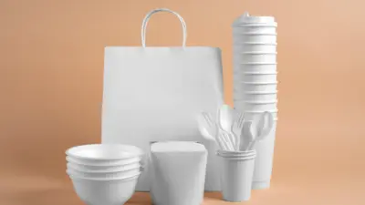 caixas térmicas e embalagens descartáveis