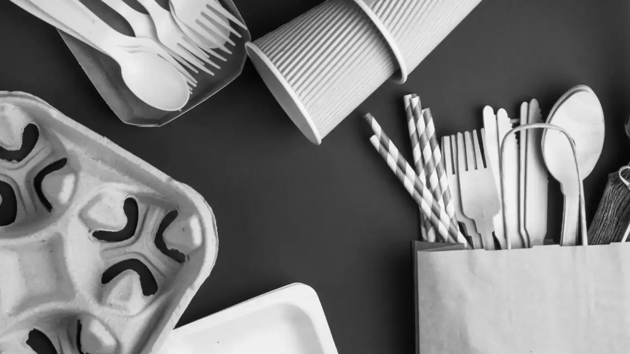 utensílios e embalagens de alimentos