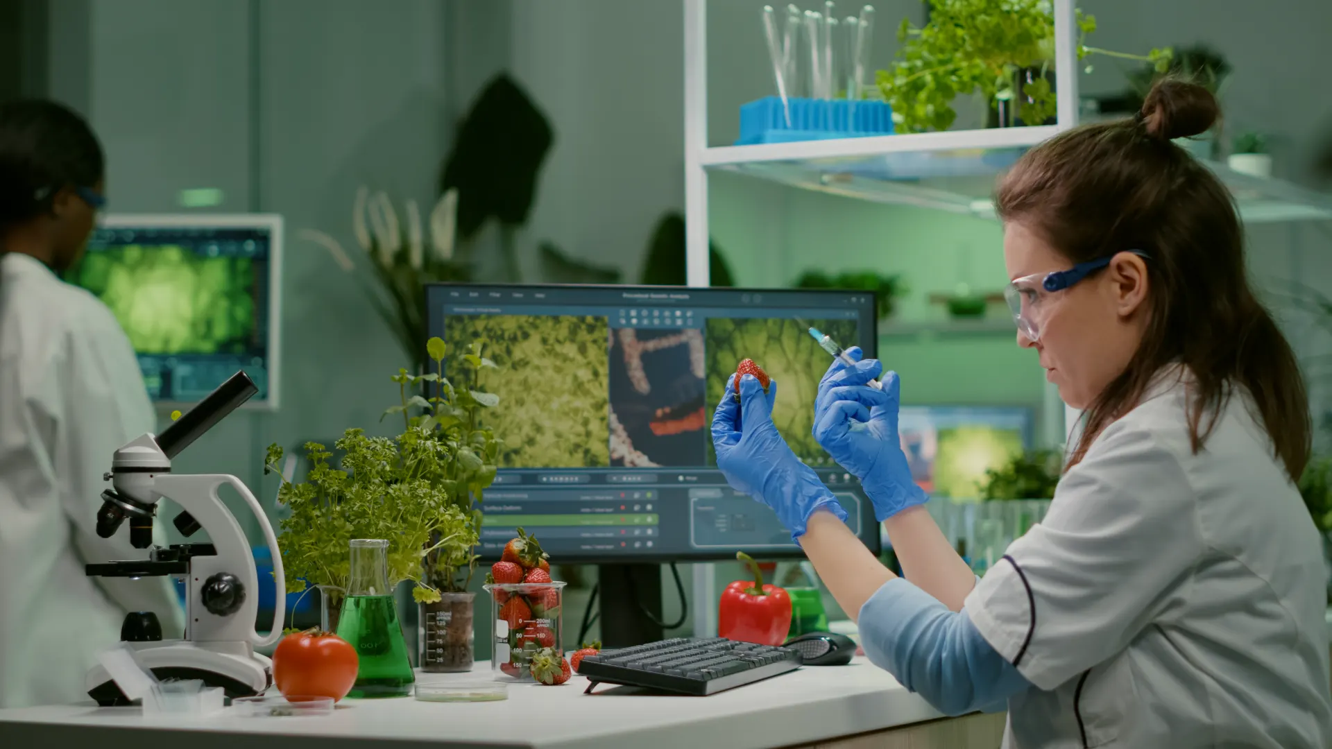 Como Evitar Fraudes na Produção de Alimentos com Blockchain