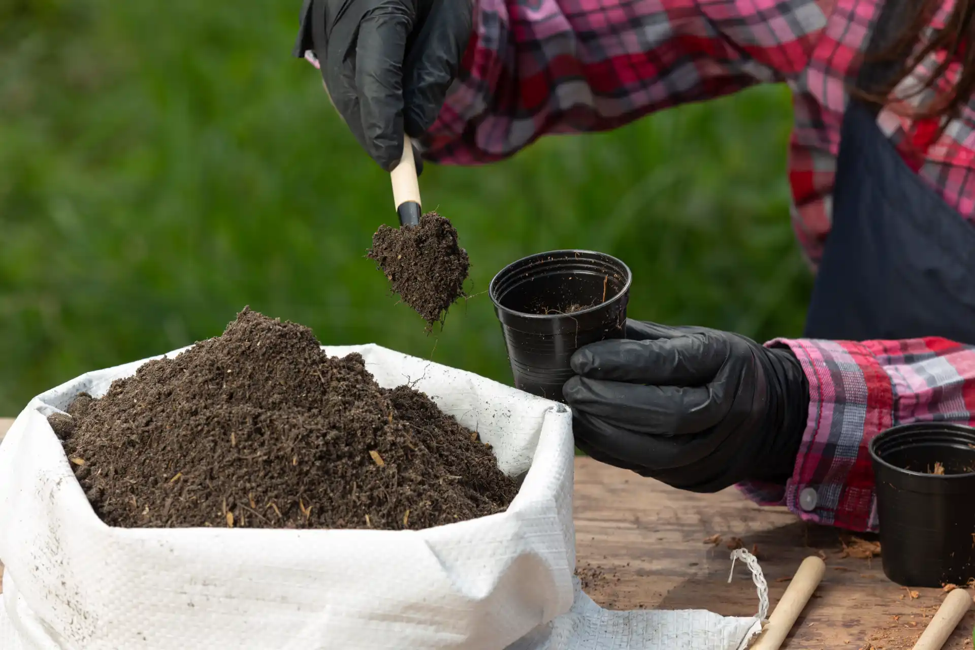 Câmbio e fertilizantes importados: desafios para distribuidores agrícolas
