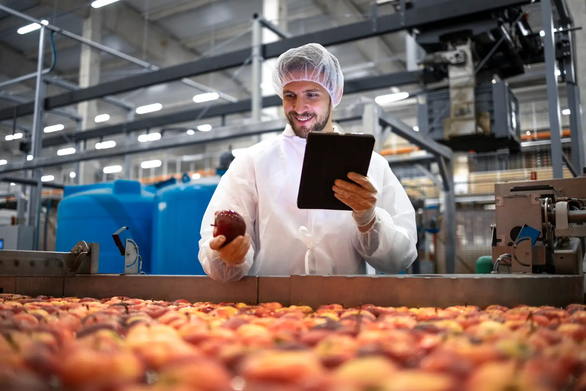 Crédito e investimentos na indústria alimentícia: impactos econômicos