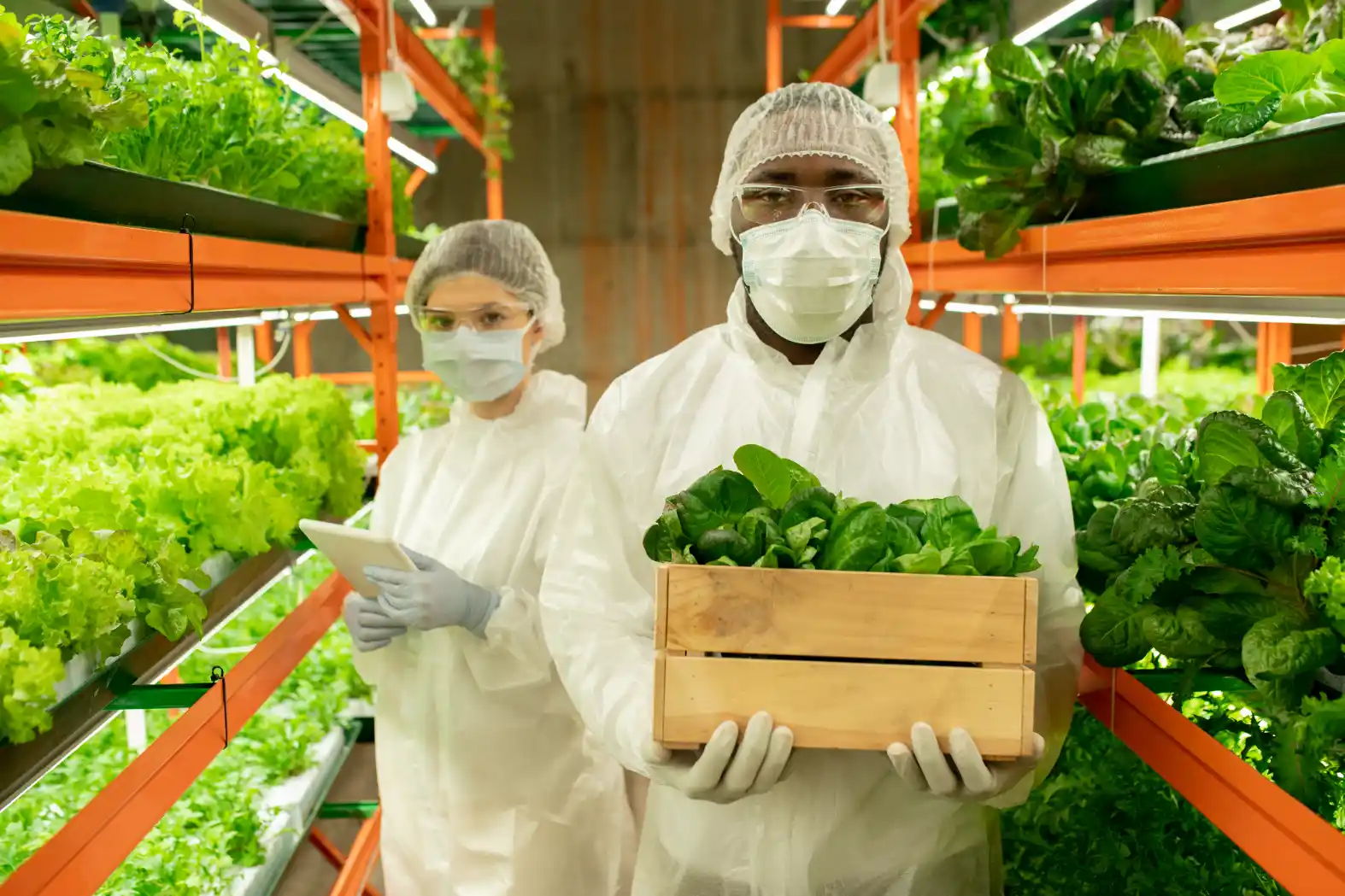 Gestão logística e redução de perdas na indústria alimentícia